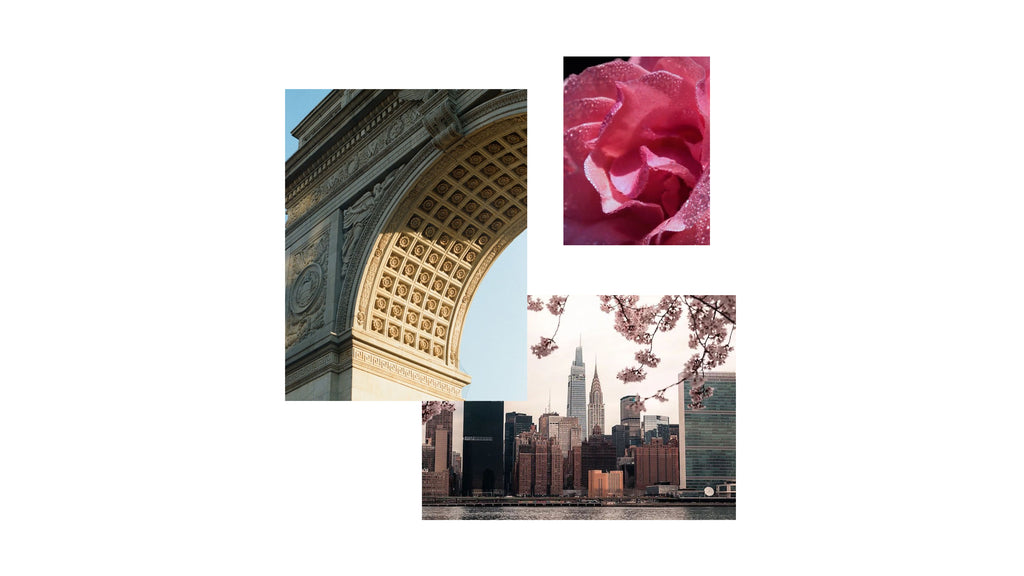 Collage of three images: a cityscape, a rose, and an archway.
